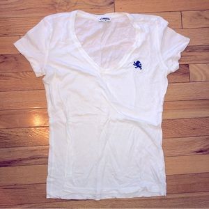 Basic v-neck tee from Express